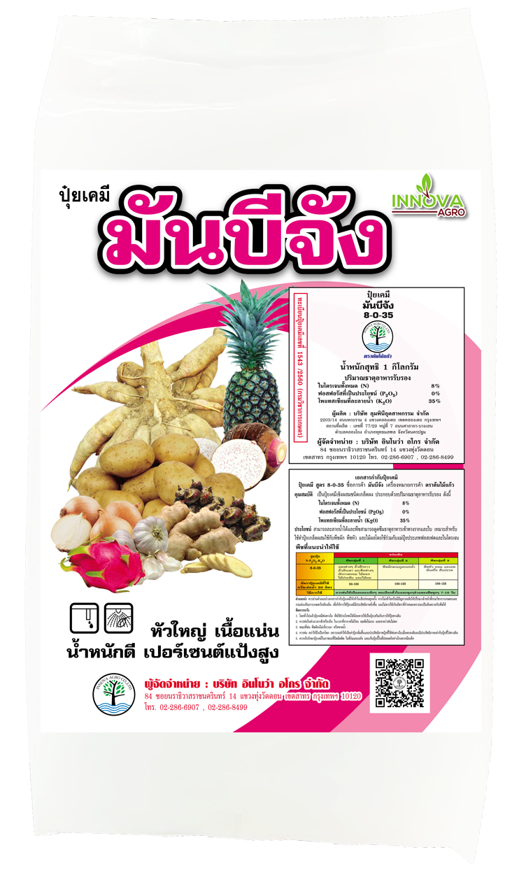 Read more about the article มันบีจัง