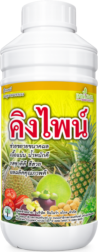 Read more about the article คิงไพน์ – ต้นไม้แก้ว