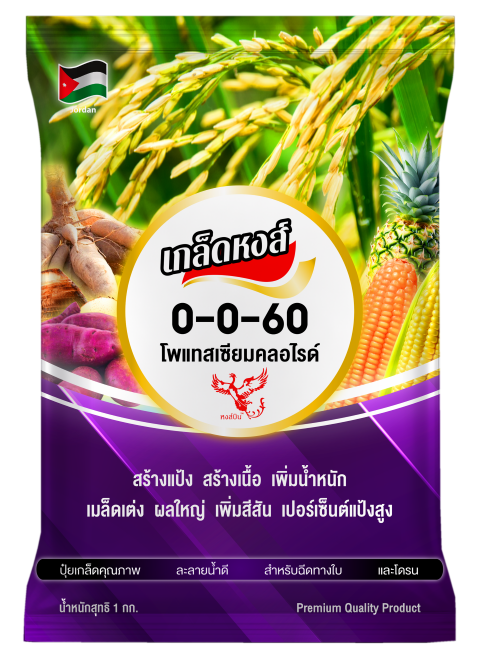 Read more about the article 0-0-60 – ตราหงส์บิน