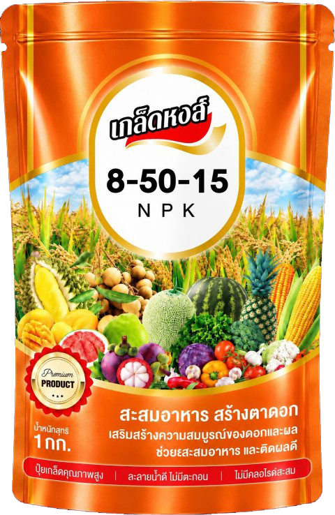 Read more about the article 8-50-15 – ตราหงส์บิน