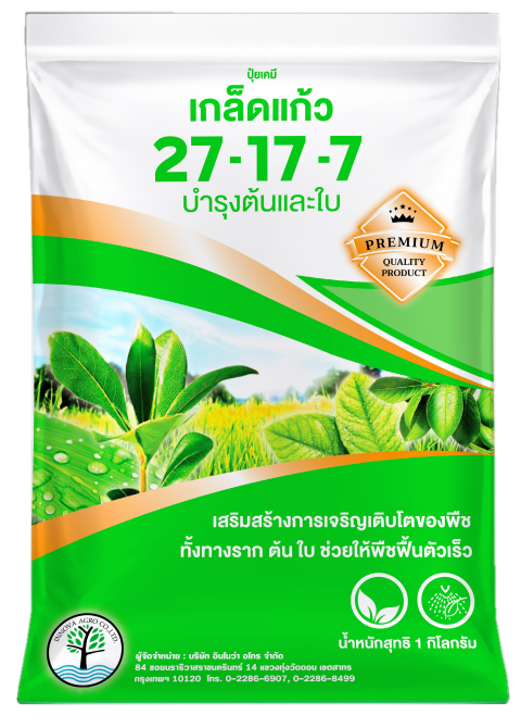 Read more about the article 27-17-7 – ตราต้นไม้แก้ว