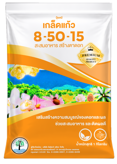 Read more about the article 8-50-15 – ตราต้นไม้แก้ว