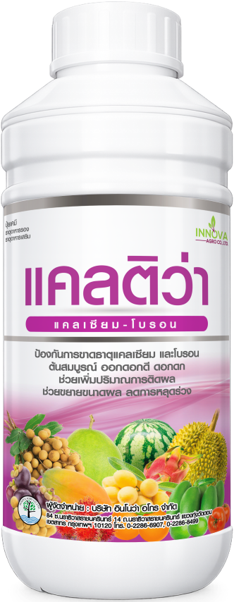 Read more about the article แคลติว่า – ต้นไม้แก้ว