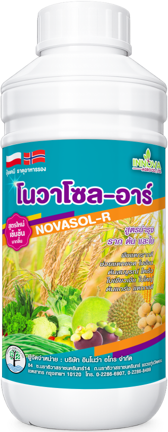 Read more about the article โนวาโซล-อาร์ – ต้นไม้แก้ว