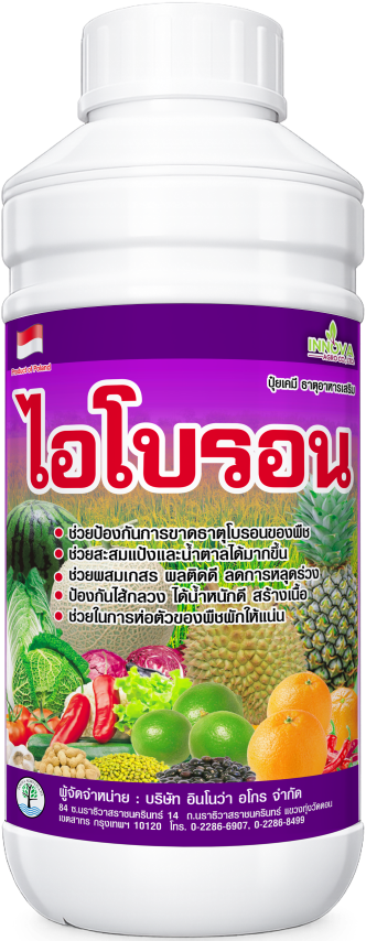 Read more about the article ไอโบรอน – ต้นไม้แก้ว